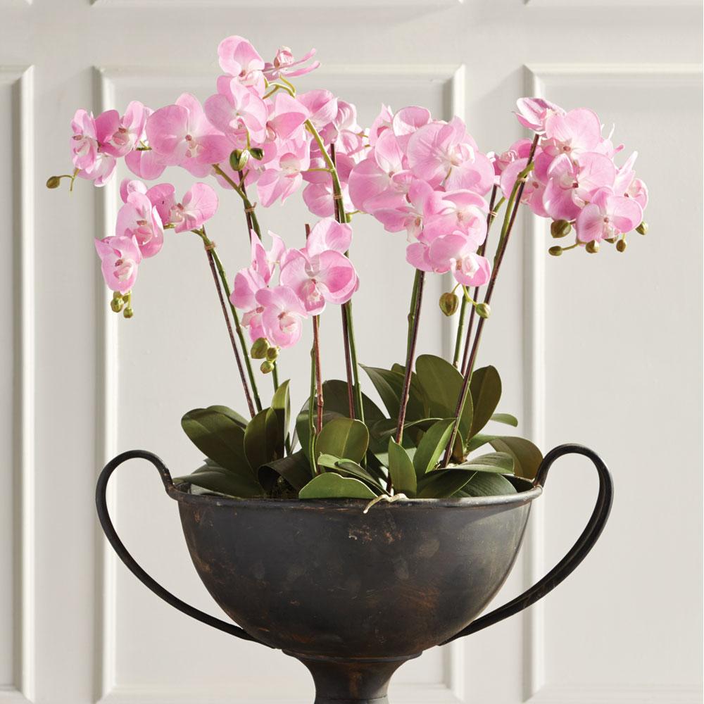 Napa Pink Phalaenopsis Orchid Drop-In 30"