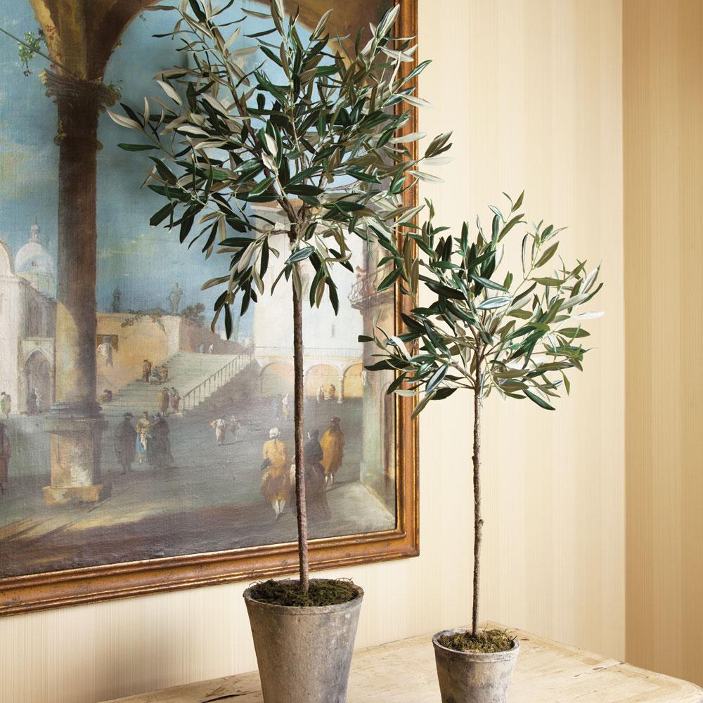 Napa Green Olive Tree Potted 46"