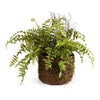 Napa Green Boston Fern Rustic Drop-In 12