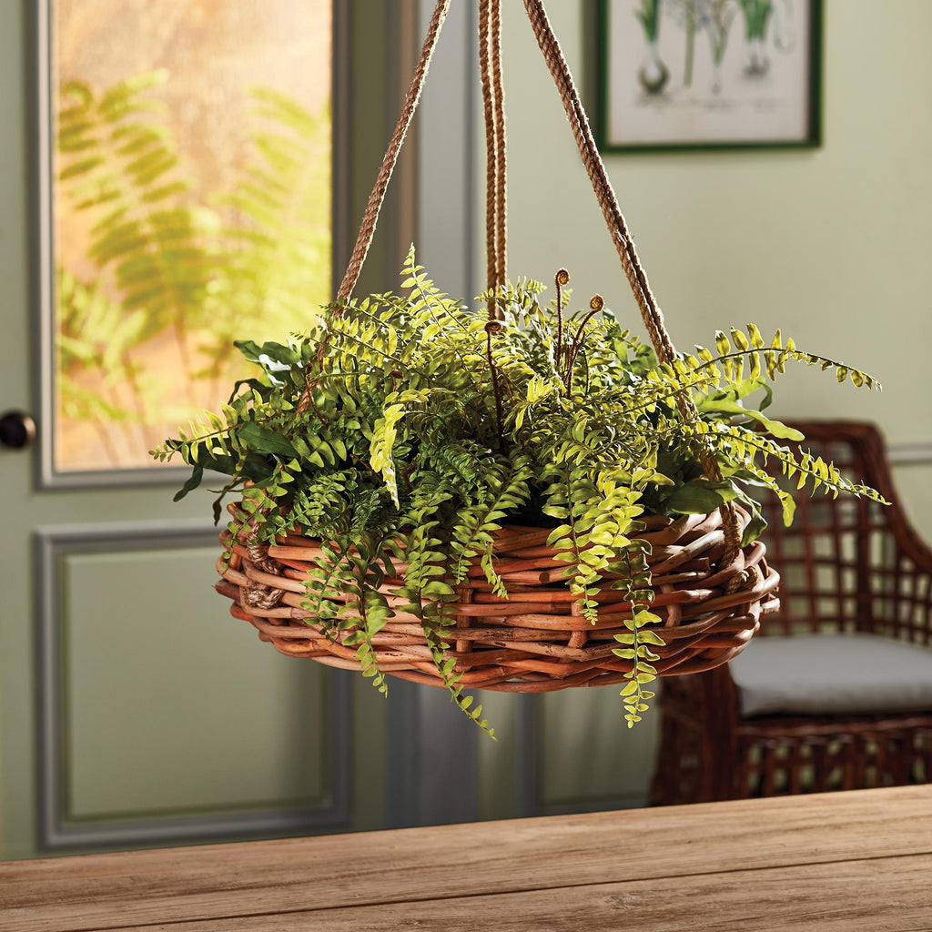 Napa Green Boston Fern Rustic Drop-In 12"