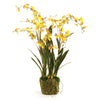 Napa Yellow Dancing Orchid Drop-In 32