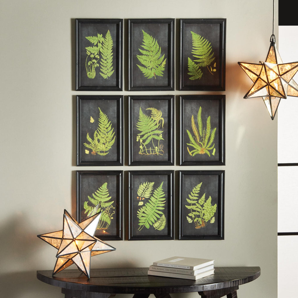 Napa Black/Green Framed Fern Botanical Prints, Set Of 9