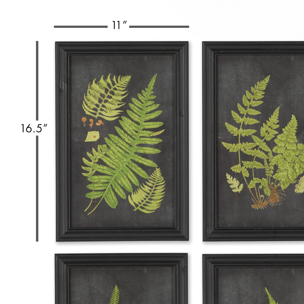 Napa Black/Green Framed Fern Botanical Prints, Set Of 9