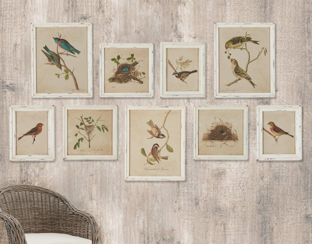 Napa Antique Cream Framed Aviary Bird & Nest Habitat Prints, Set Of 9