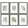 Napa Black/Gray Framed Gray-Tone Fern Prints, Set Of 6