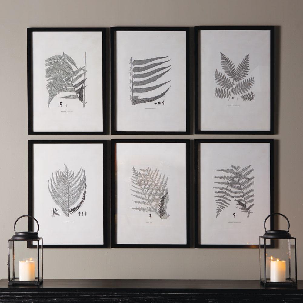 Napa Black/Gray Framed Gray-Tone Fern Prints, Set Of 6