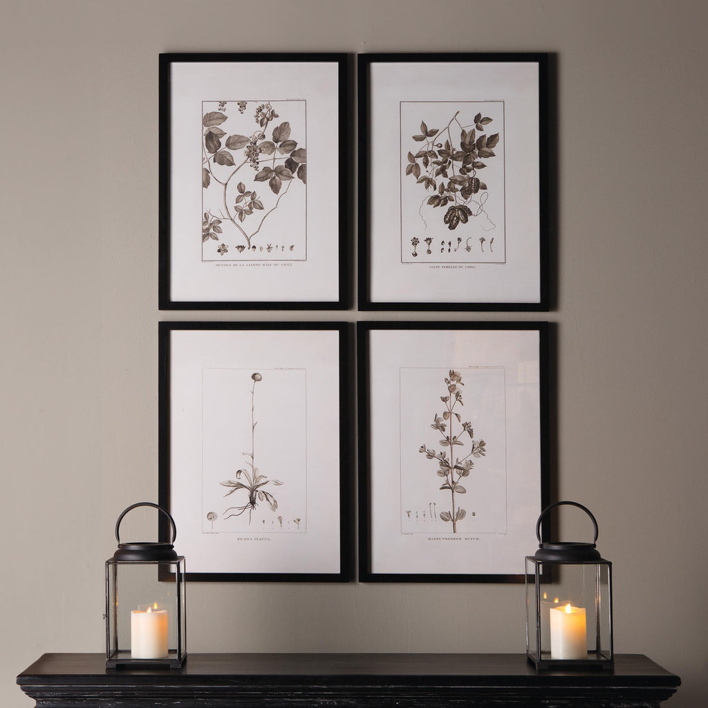 Napa Black/Tan Framed Sepia-Tone Botanical Prints, Set Of 4