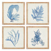 Napa Natural/French Blue Framed Coral Watercolor Prints, Set Of 4