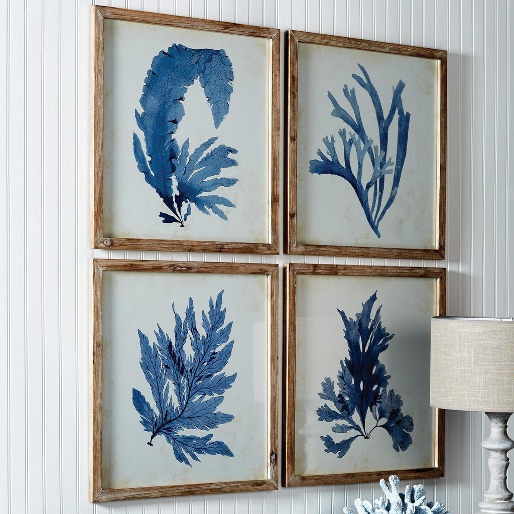 Napa Natural/French Blue Framed Coral Watercolor Prints, Set Of 4