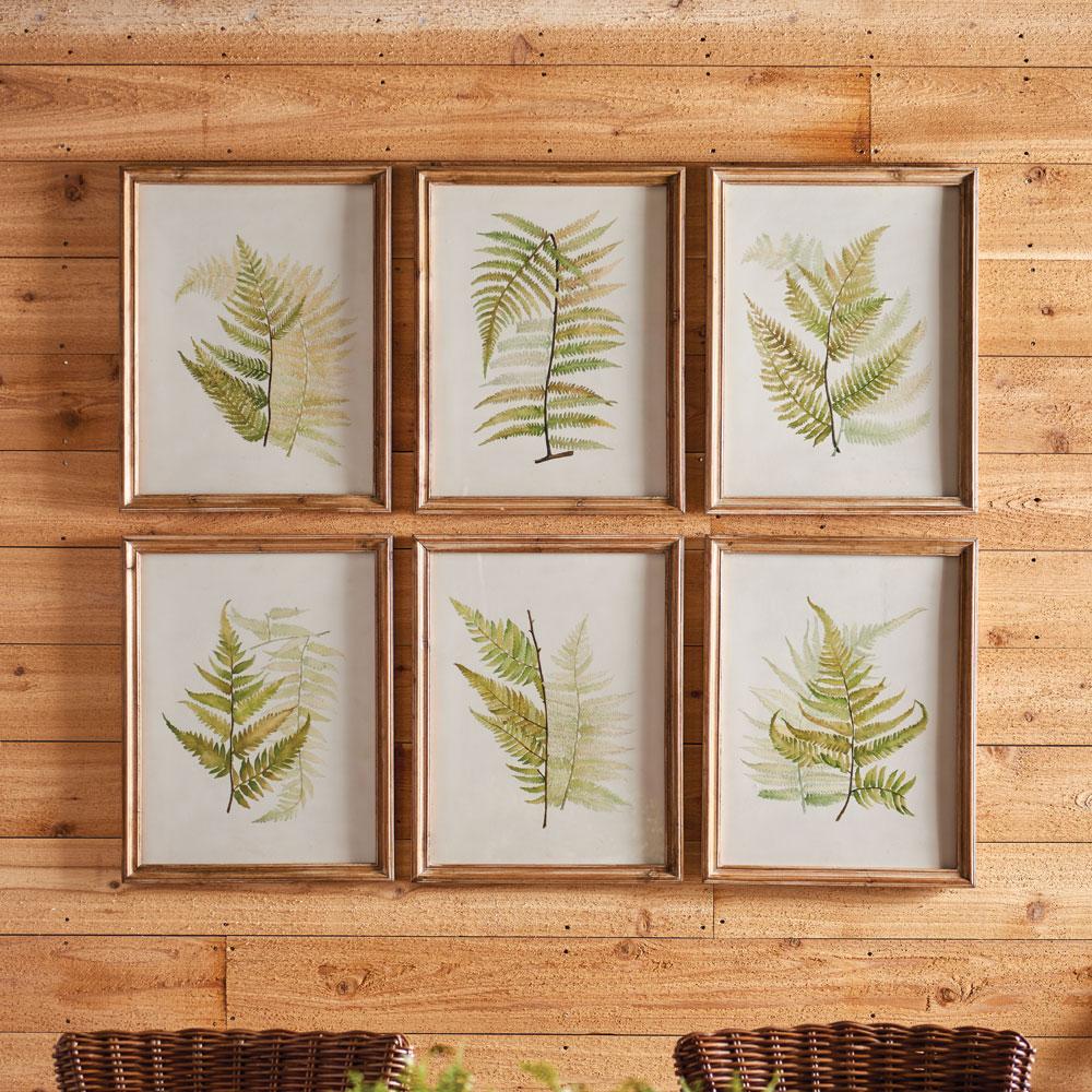 Napa Natural Framed Fern Study, Set Of 6