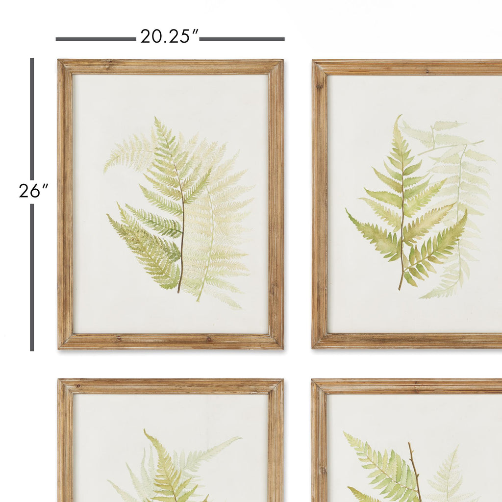 Napa Natural Framed Fern Study, Set Of 6