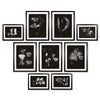 Napa Black/White X-Ray Leaf Study Gallery, Set Of 9