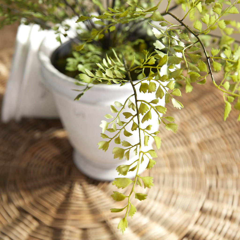 Napa Green Maidenhair Drop-In 30"