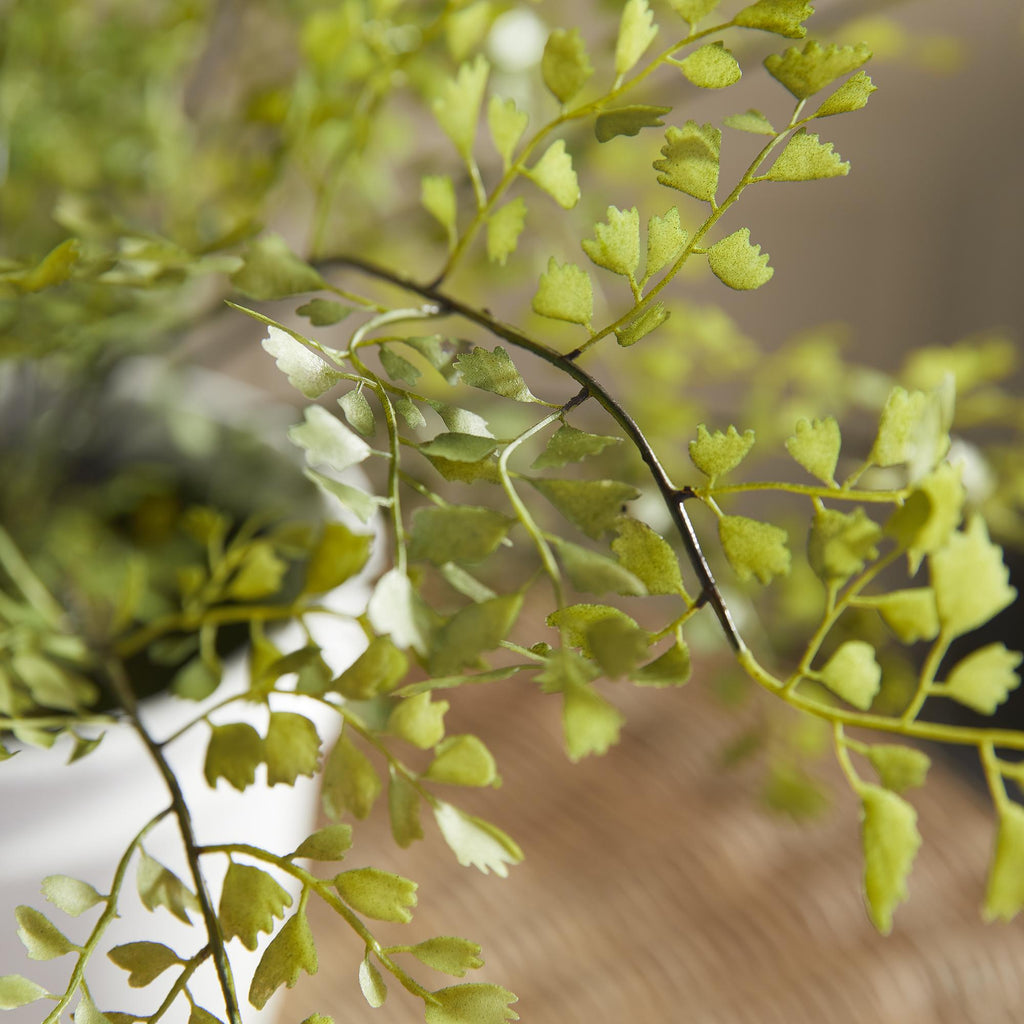 Napa Green Maidenhair Drop-In 30"