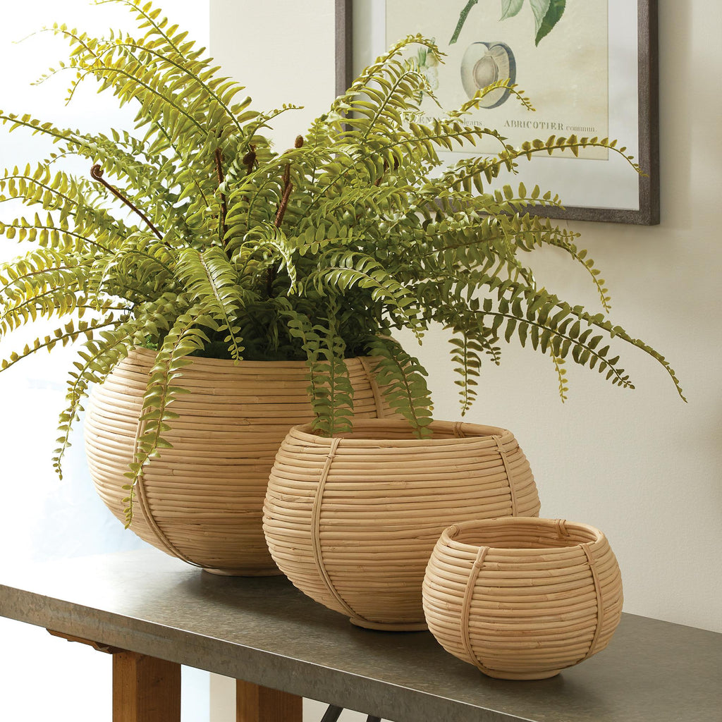 Napa Natural Cane Rattan Plant Baskets, Set Of 3