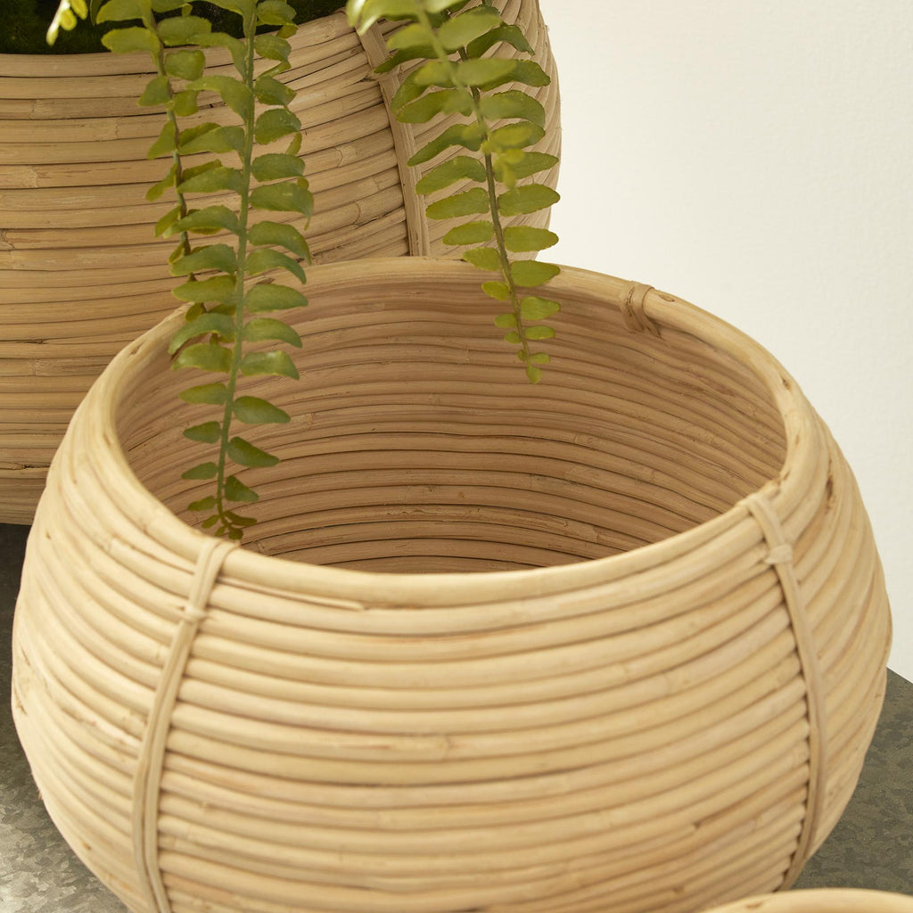 Napa Natural Cane Rattan Plant Baskets, Set Of 3