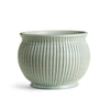 Napa Celadon Graffio Grande Cachepot