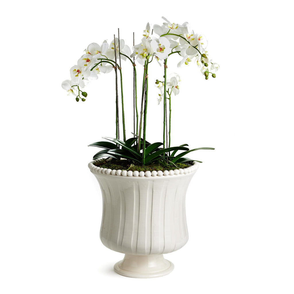 Napa White Coletta Grande Flared Vase