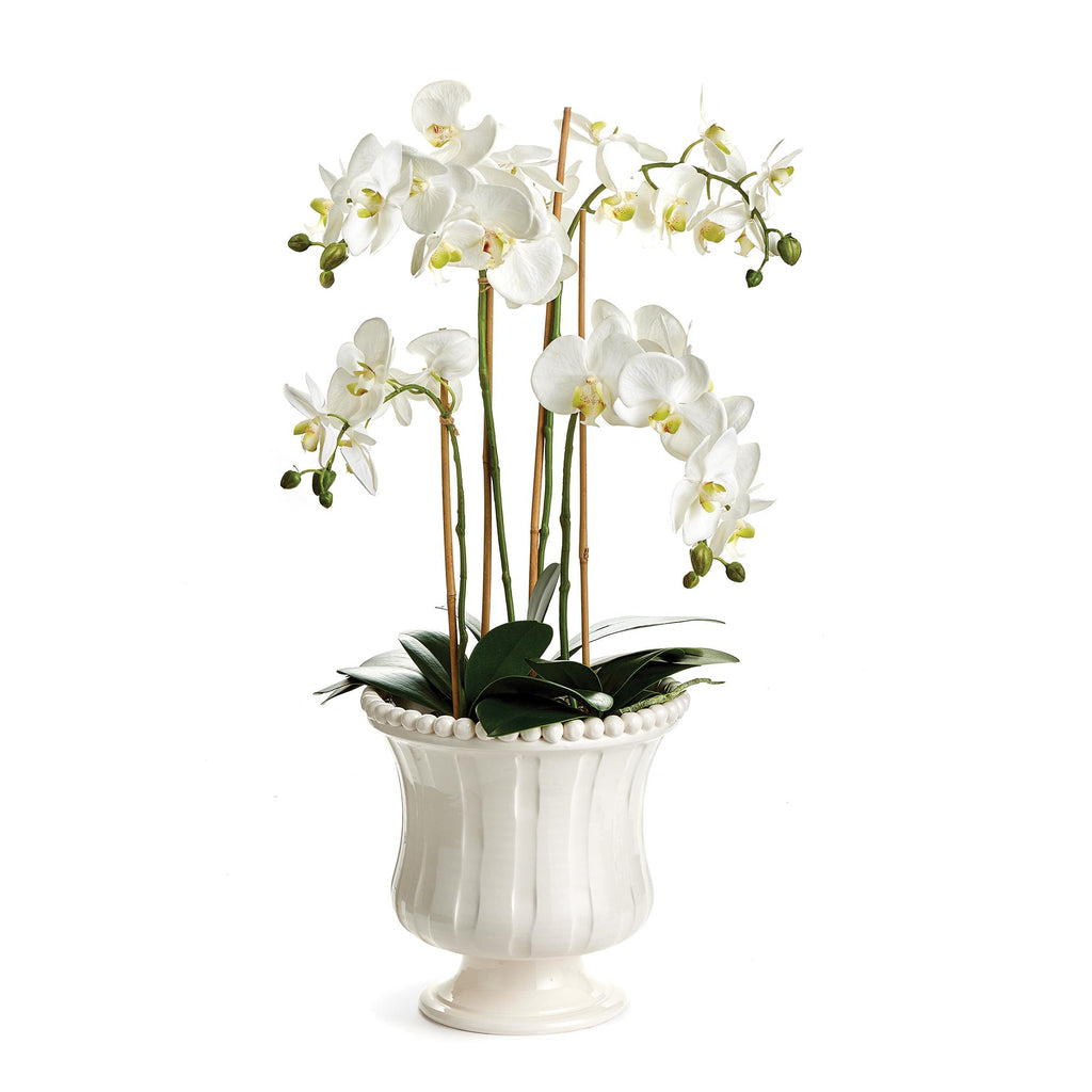 Napa White Coletta Petite Flared Vase