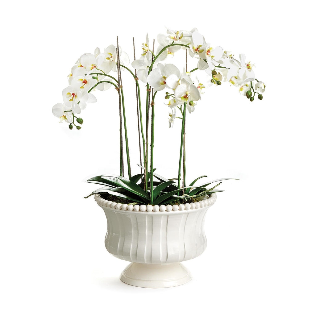 Napa White Coletta Decorative Footed Bowl