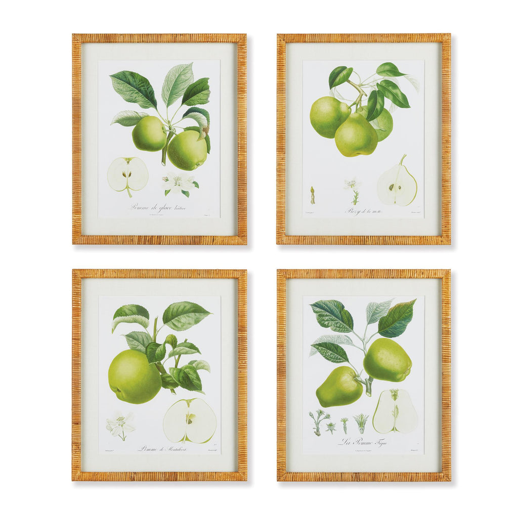 Napa Natural/Green Fruit Study, Set Of 4