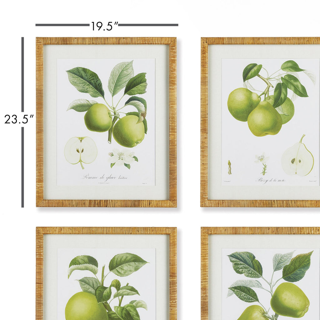 Napa Natural/Green Fruit Study, Set Of 4