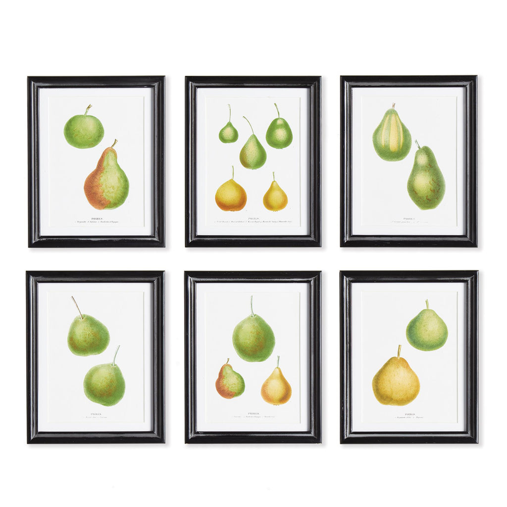 Napa Black/Green/Orange Pear Study, Set Of 6