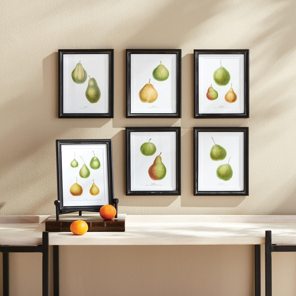 Napa Black/Green/Orange Pear Study, Set Of 6