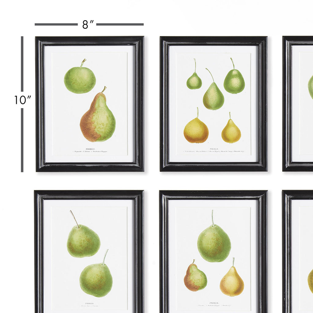 Napa Black/Green/Orange Pear Study, Set Of 6