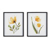 Napa Black/Yellow X-Ray Botanical Prints, Set Of 2