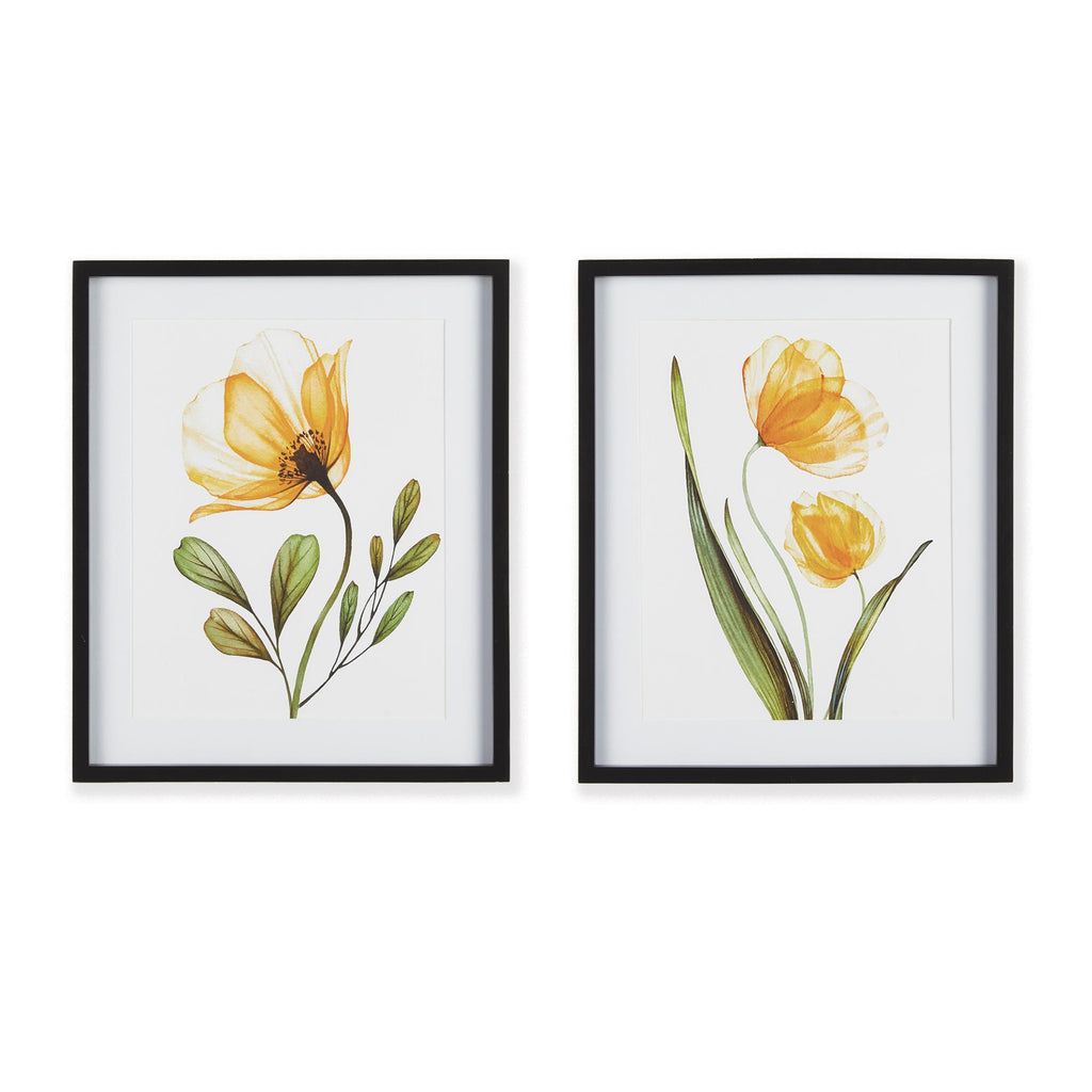 Napa Black/Yellow X-Ray Botanical Prints, Set Of 2