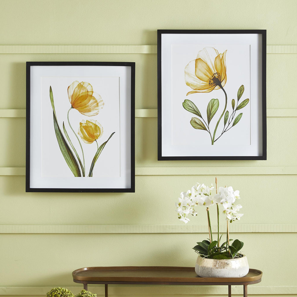 Napa Black/Yellow X-Ray Botanical Prints, Set Of 2