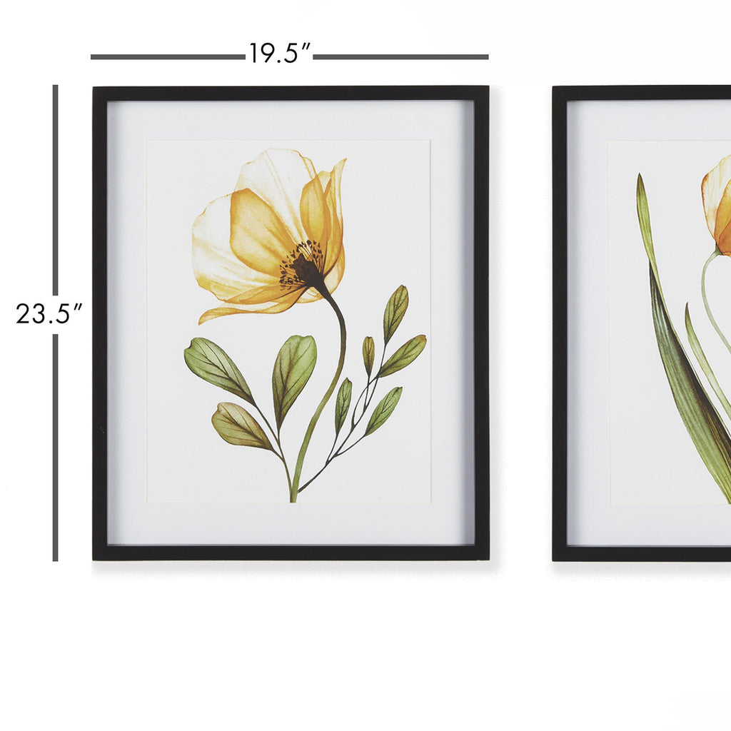 Napa Black/Yellow X-Ray Botanical Prints, Set Of 2