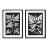 Napa Black/White Assorted Fern Study, Set Of 2