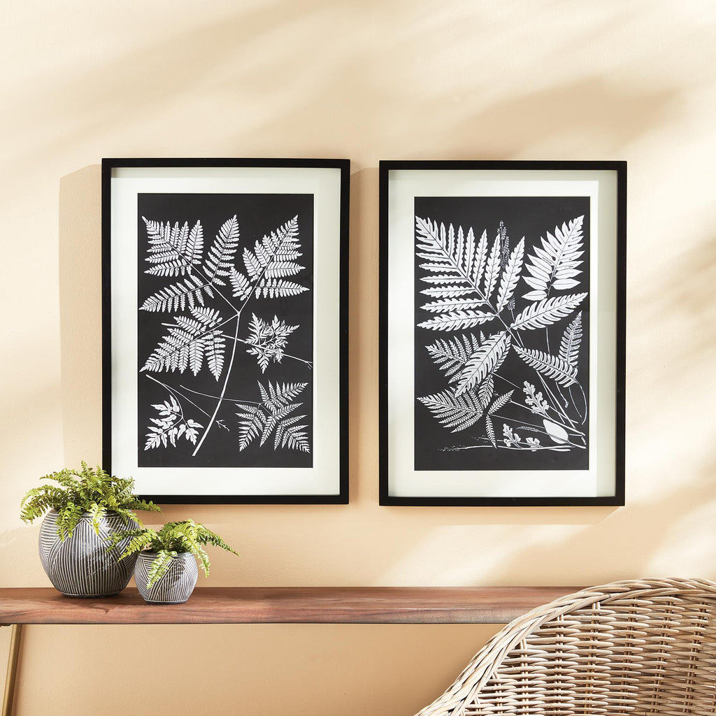 Napa Black/White Assorted Fern Study, Set Of 2