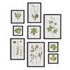 Napa Black/Green Foliage Prints, Set Of 9