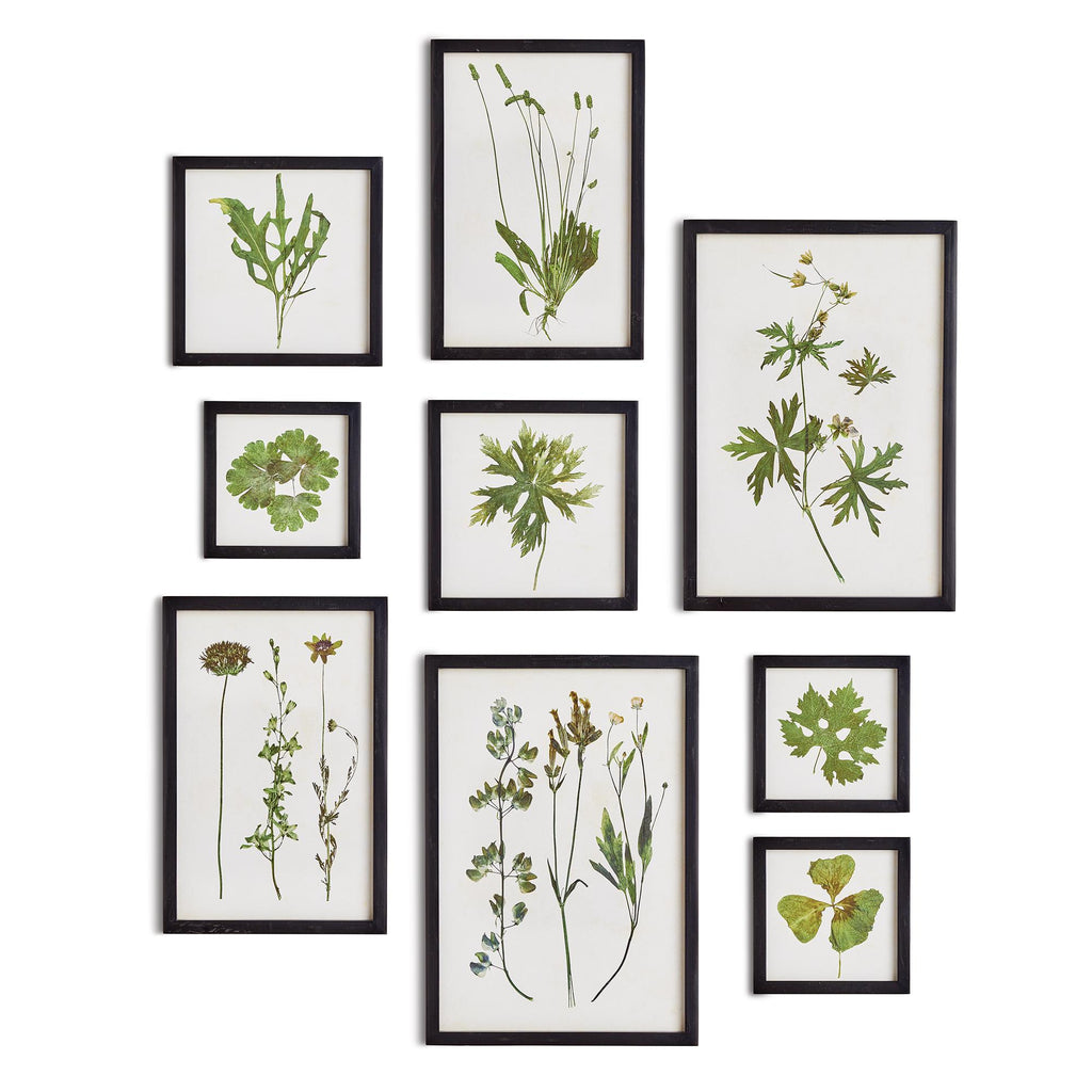 Napa Black/Green Foliage Prints, Set Of 9