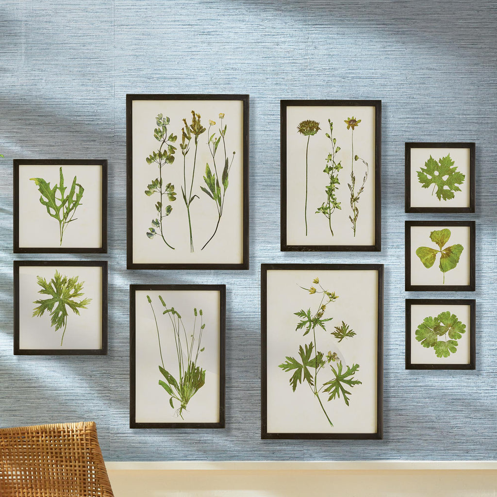 Napa Black/Green Foliage Prints, Set Of 9