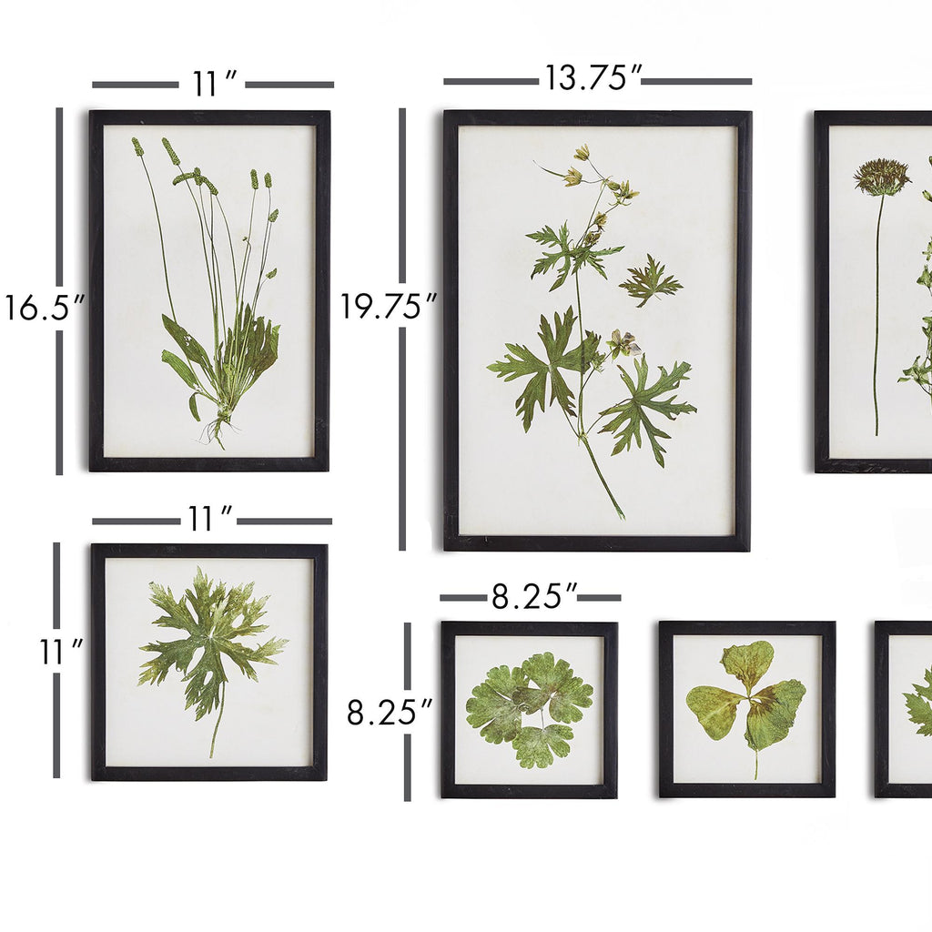 Napa Black/Green Foliage Prints, Set Of 9