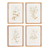 Napa Natural Fleur De Blanc Prints, Set Of 4