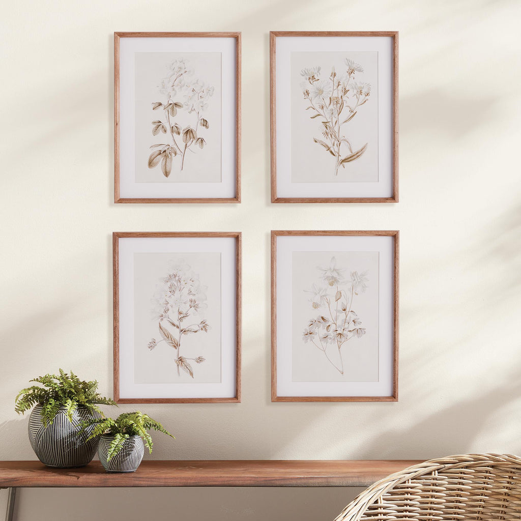 Napa Natural Fleur De Blanc Prints, Set Of 4