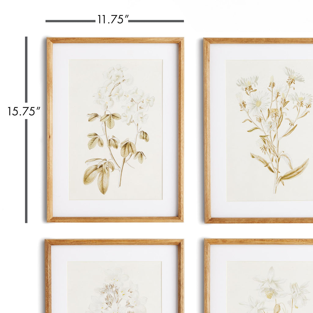 Napa Natural Fleur De Blanc Prints, Set Of 4