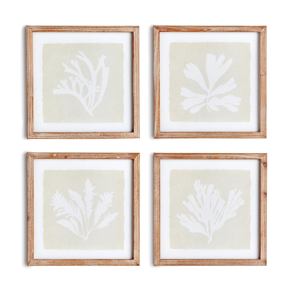 Napa Natural/Gray Seaweed Petite Prints, Set Of 4