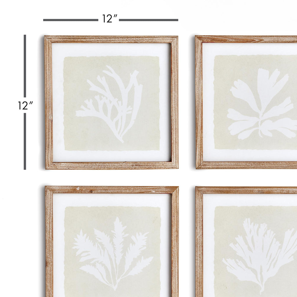 Napa Natural/Gray Seaweed Petite Prints, Set Of 4