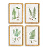 Napa Natural/Green Forest Fern Prints, Set Of 4