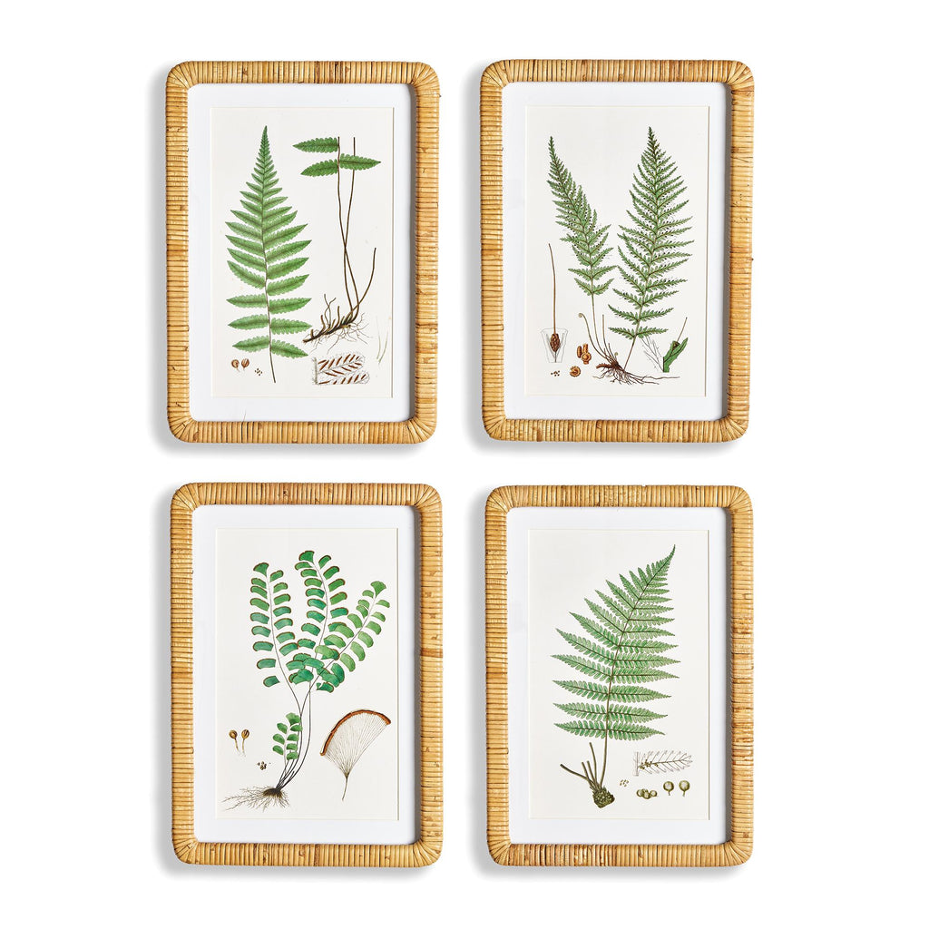 Napa Natural/Green Forest Fern Prints, Set Of 4