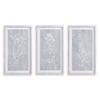 Napa White/Gray Sketched Botanical Prints, Set Of 3