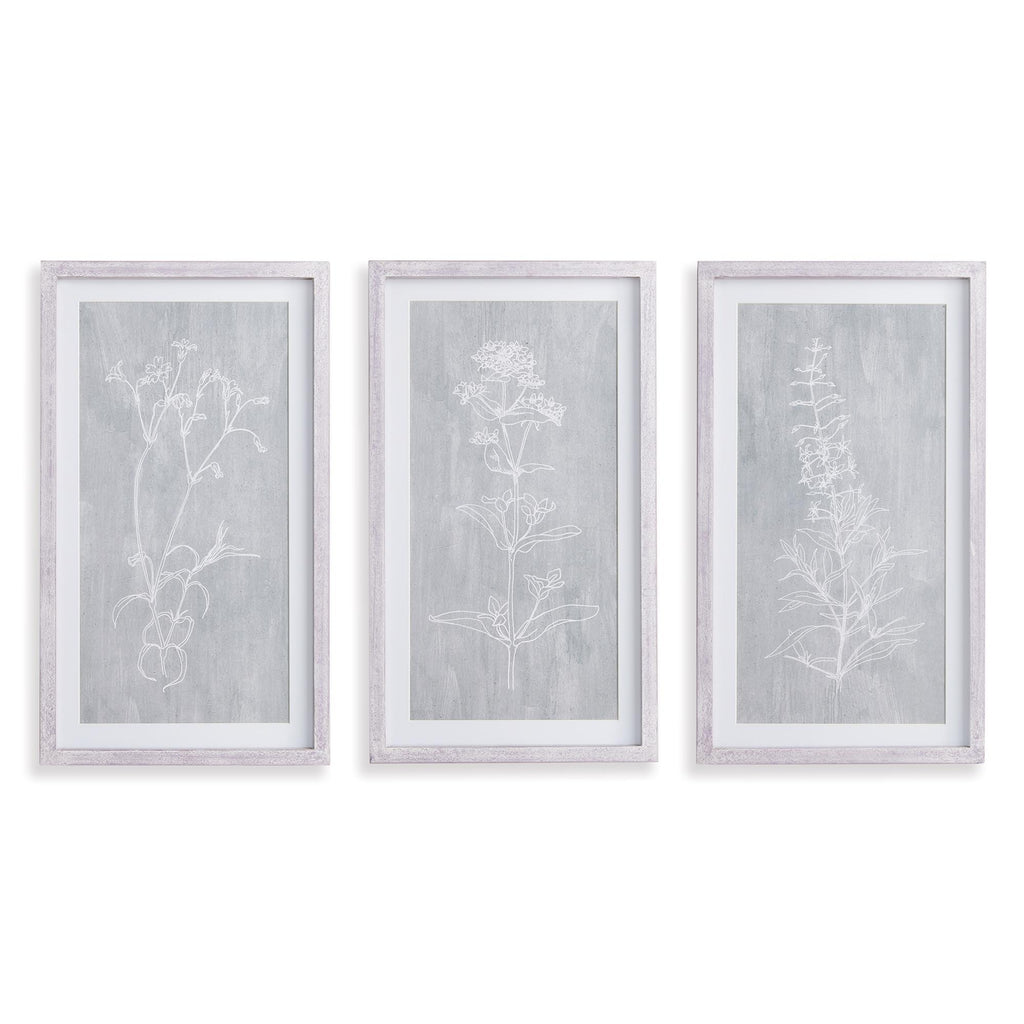 Napa White/Gray Sketched Botanical Prints, Set Of 3