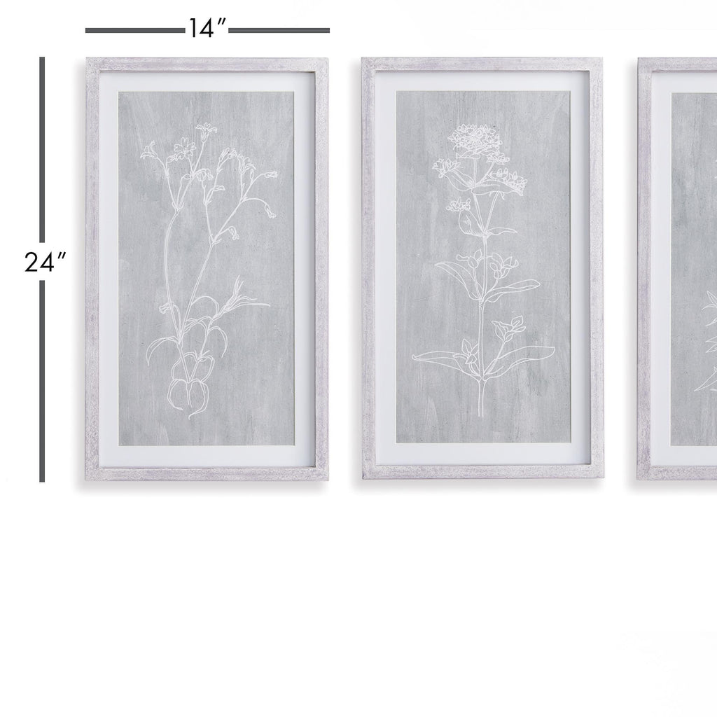 Napa White/Gray Sketched Botanical Prints, Set Of 3