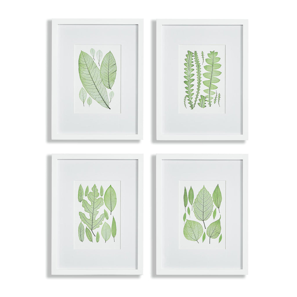 Napa White/Green Assorted Leaf Prints, Set Of 4